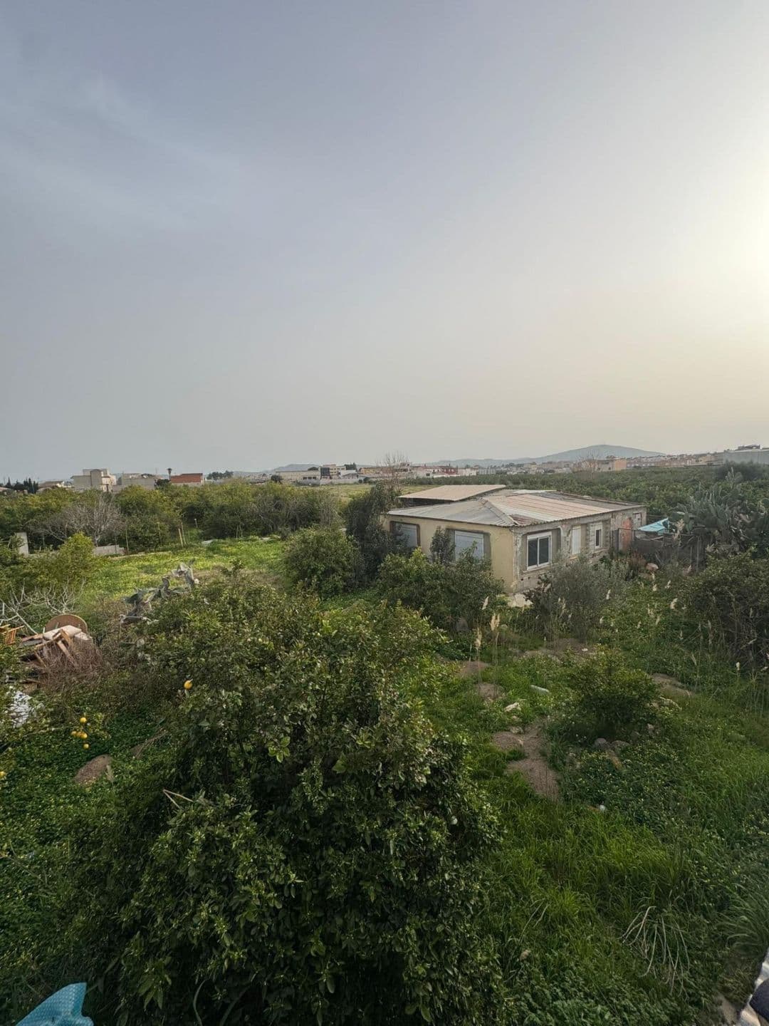 Descubra esta excepcional villa independiente ubicada en la tranquila zona de La Campaneta Vorschau 4