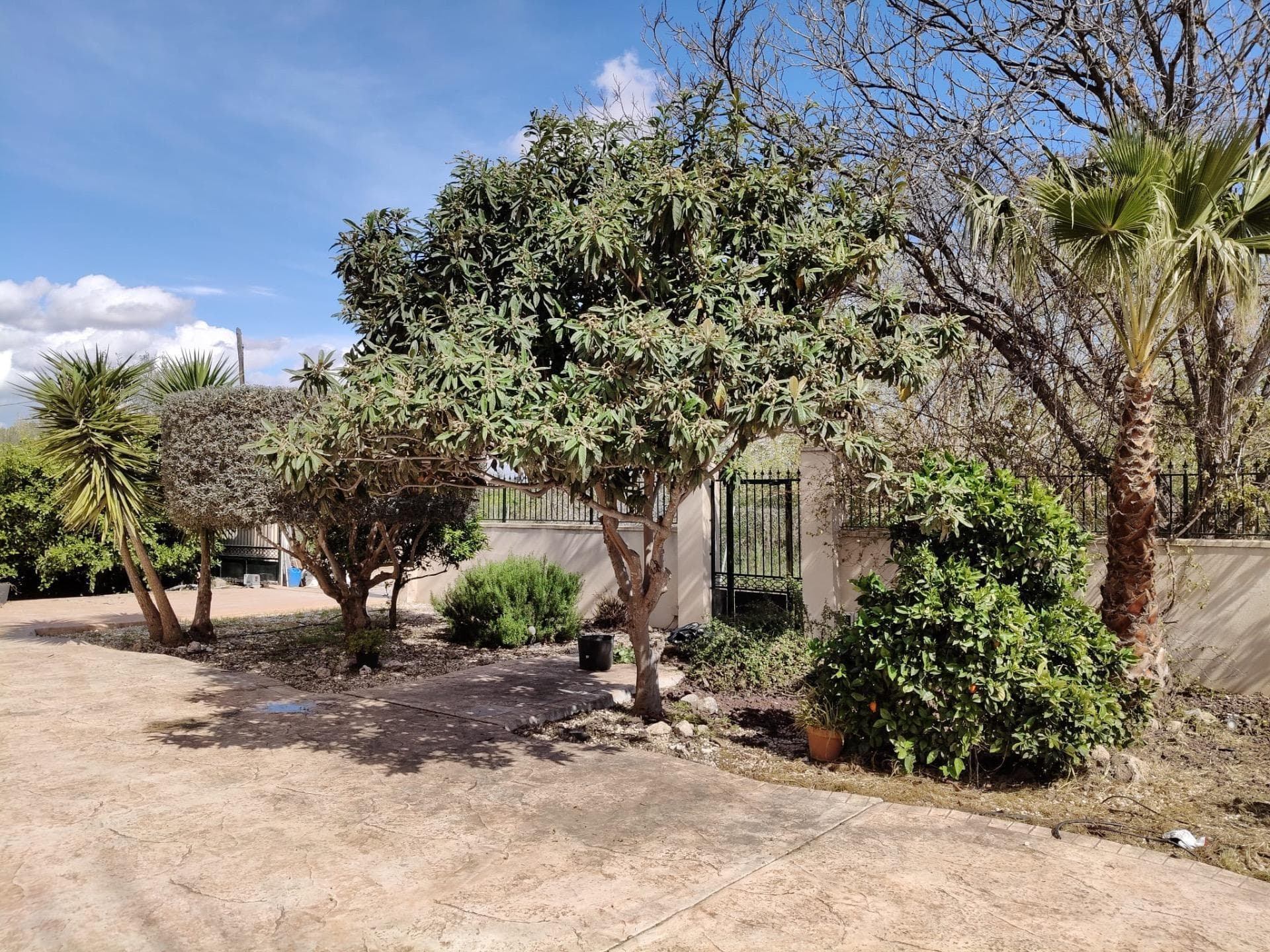 Descubre esta excepcional finca ubicada en la zona de El Palmar, Murcia Vorschau 6