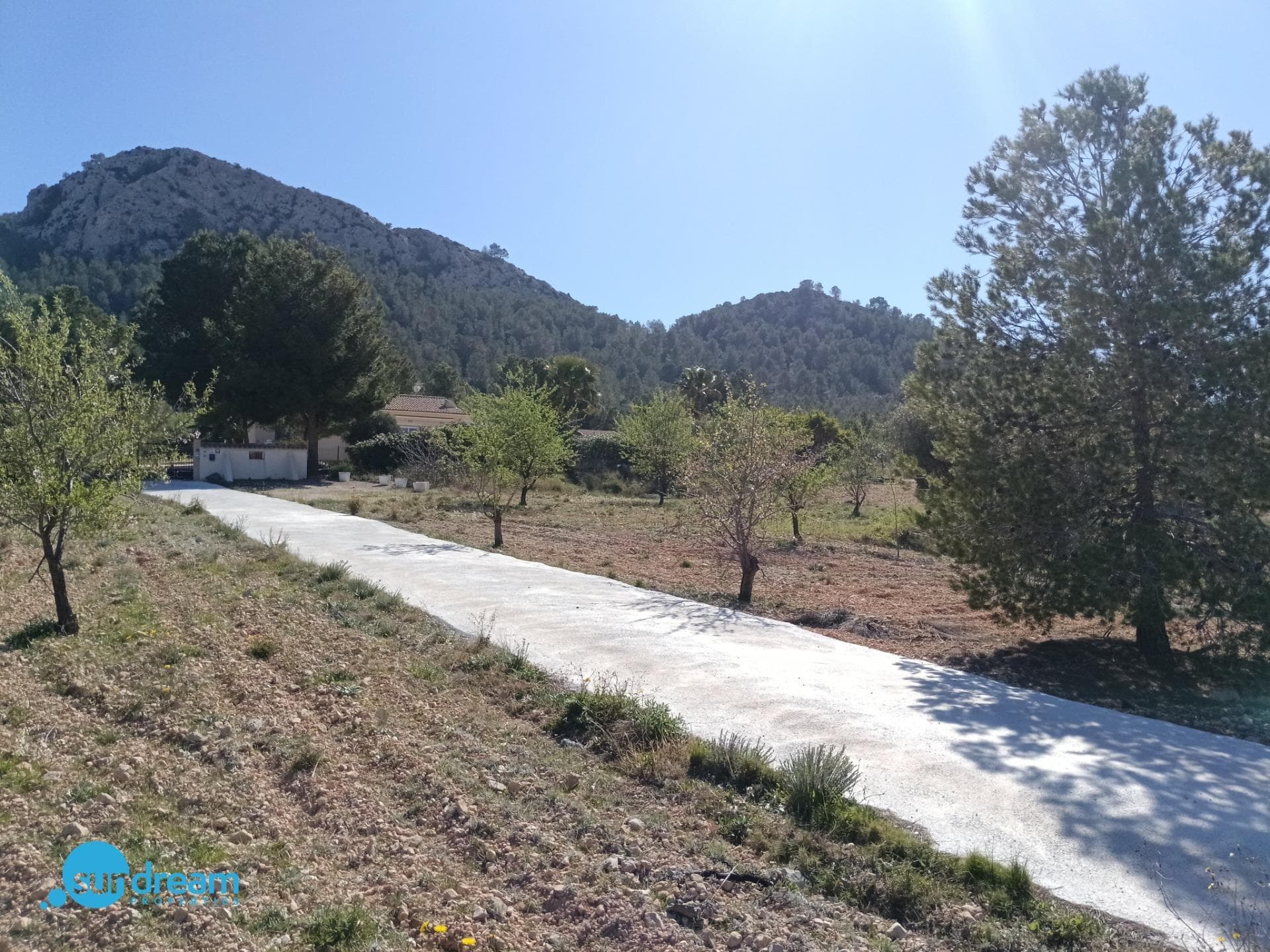 Villa Abanilla SDP-
